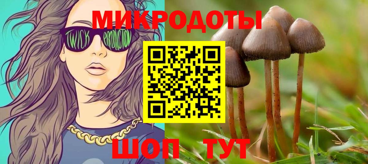 Тельмана  Псилоцибиновые грибы мицелий  цена наркотик  Вход с VPN  Галлюциногенные грибы мицелий 