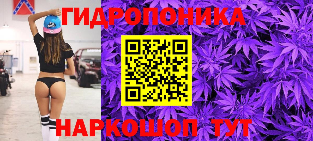 Марихуана семена  Вход с VPN  Каннабис OG Kush  Тельмана  Каннабис Bruce Banner 